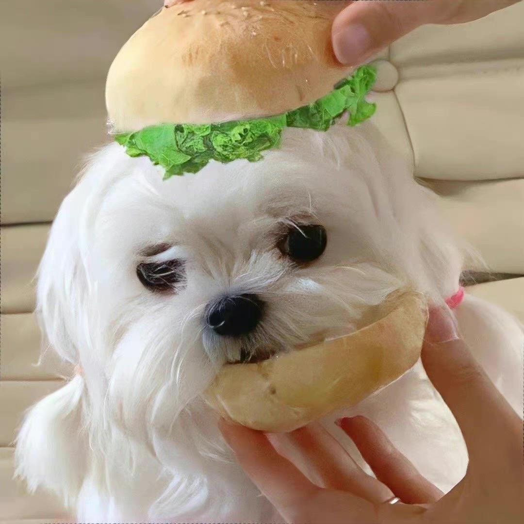 不瘦十斤不改名