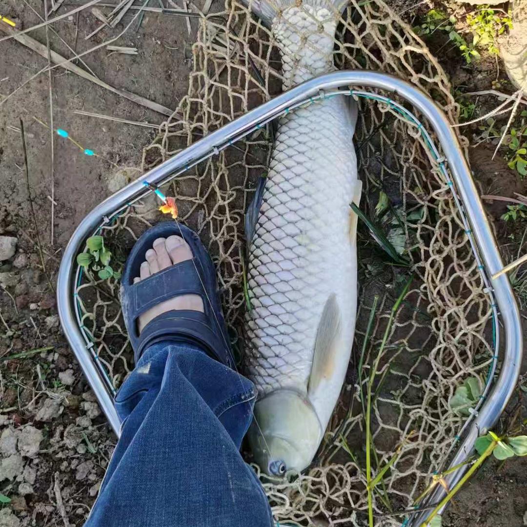 饶平饶洋老男人