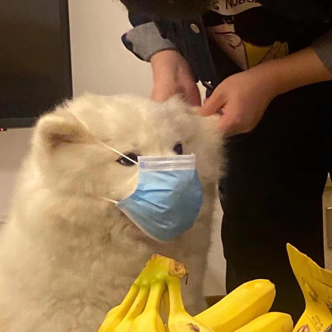 老王哥