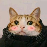 筱熊