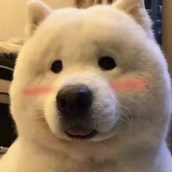 北北