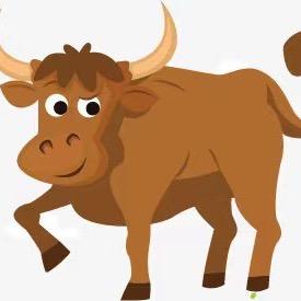 牛小二新鲜牛肉