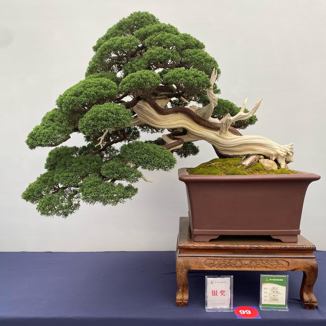 歆晨盆景园林