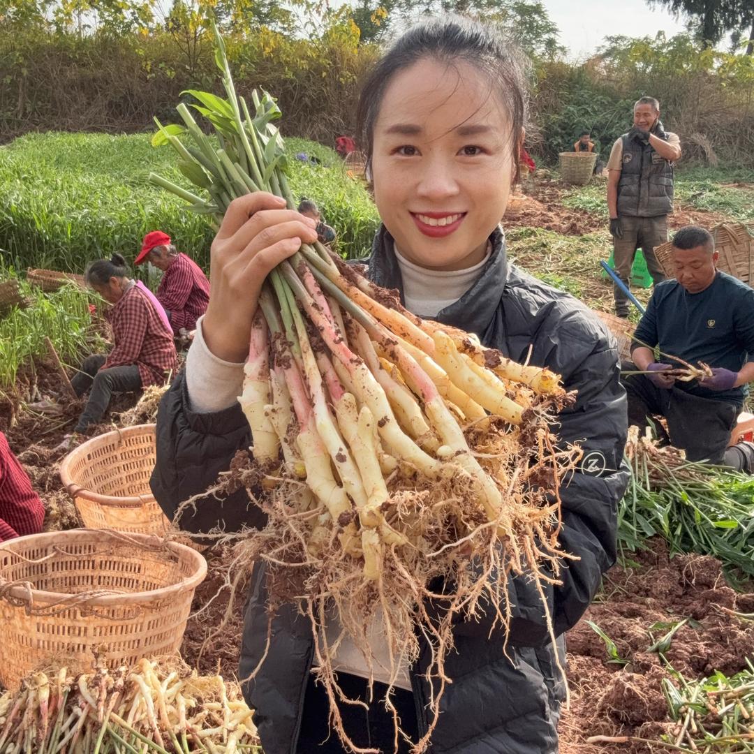 余二妹(嫩仔姜芽批发10年源头)