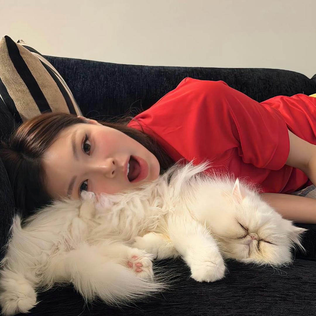 冰美式77（见过鹿晗版