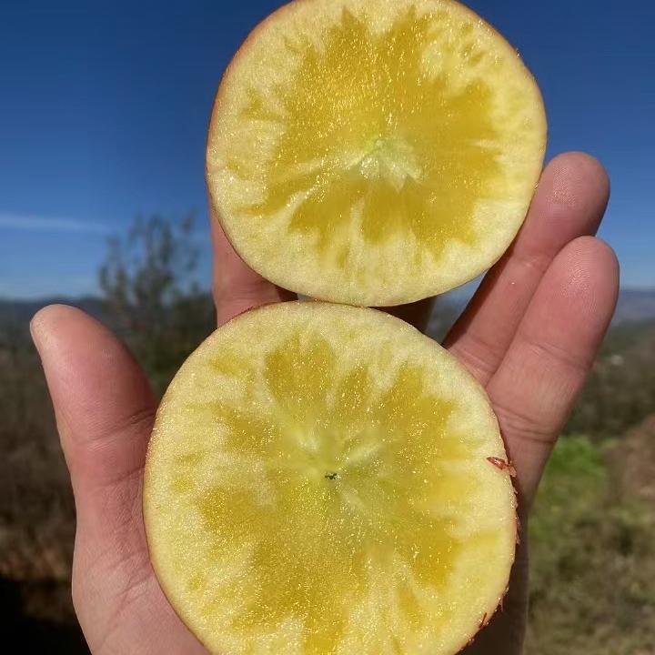 木大爹农夫果园