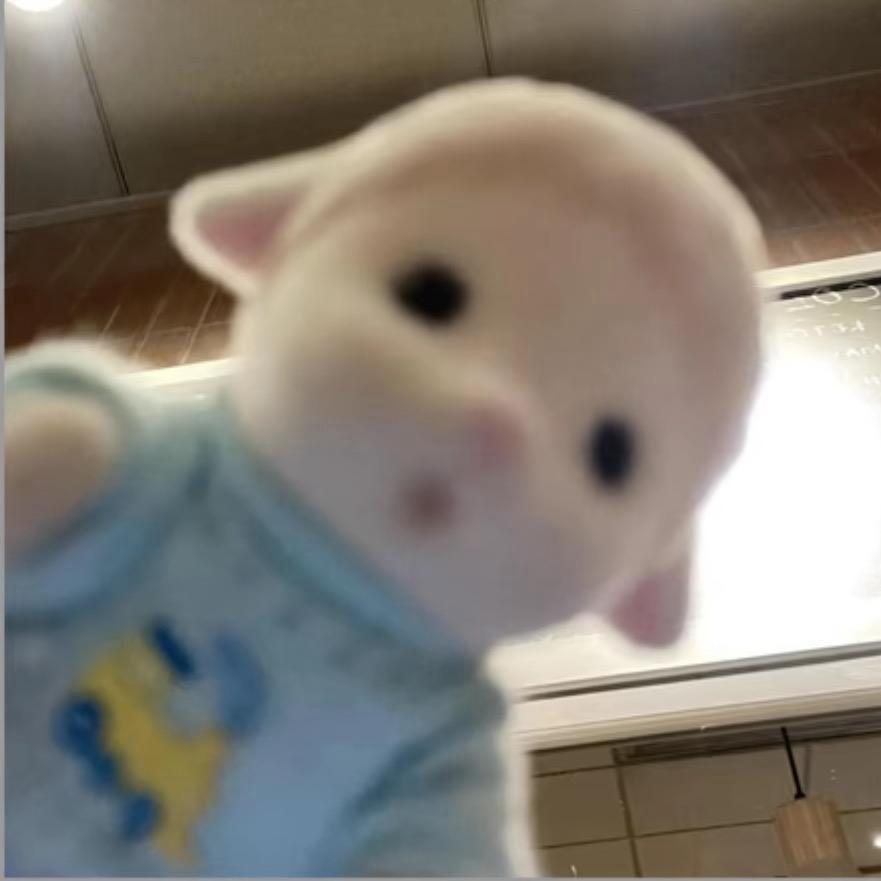 Yangyang^