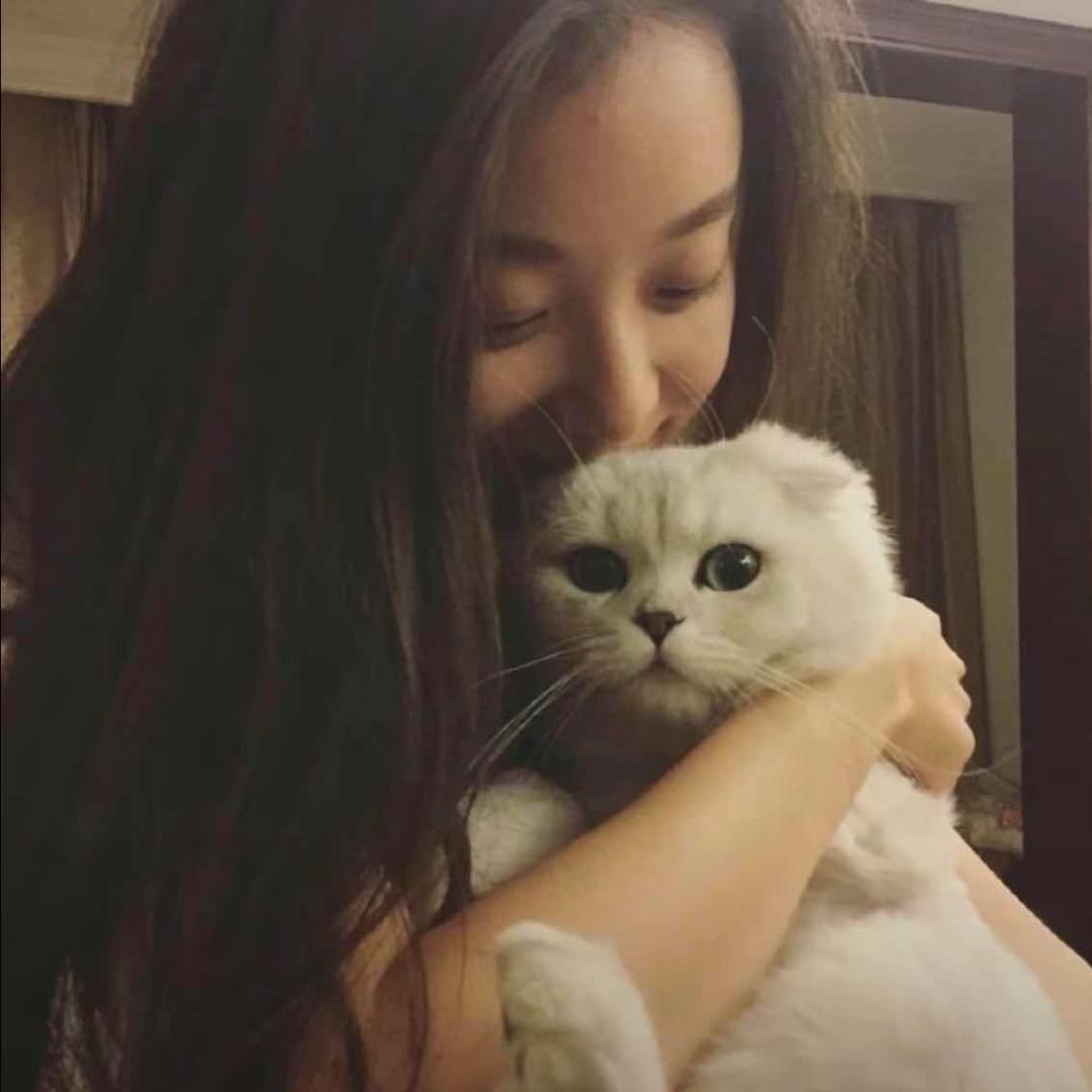 -啵啵鱼.