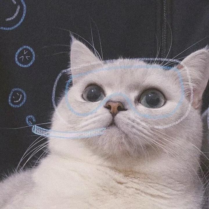 我不是十三