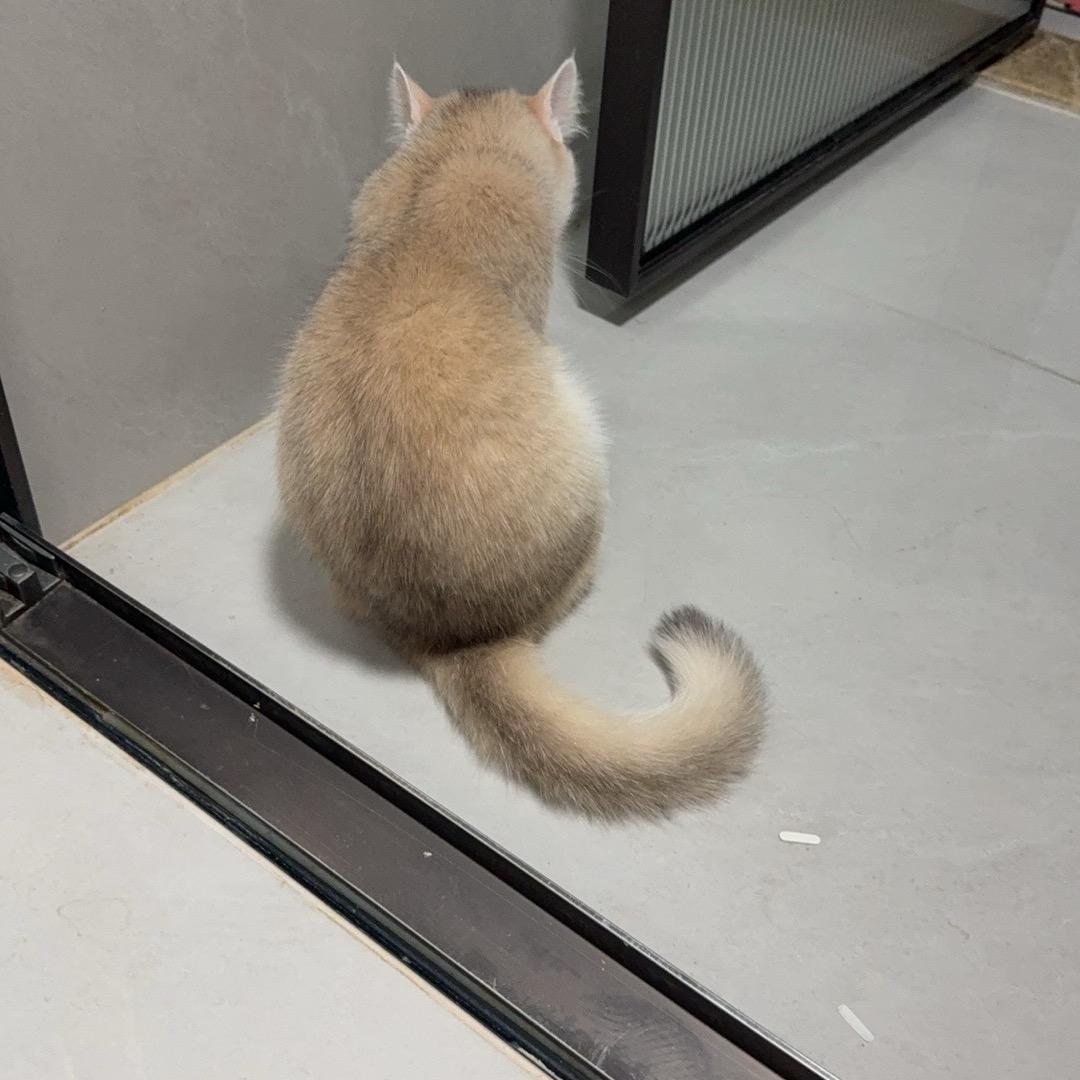 宇宙超级无敌大美女