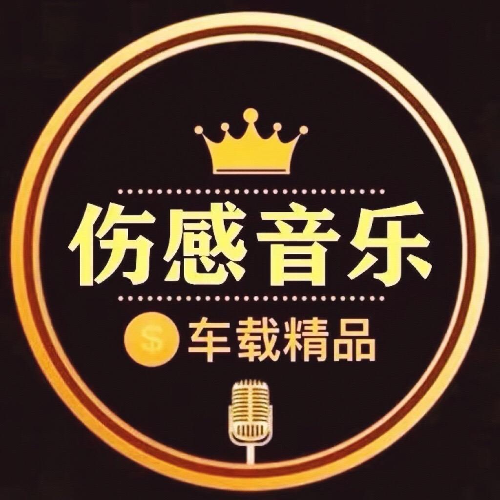 梦姐伤感情歌（U盘）