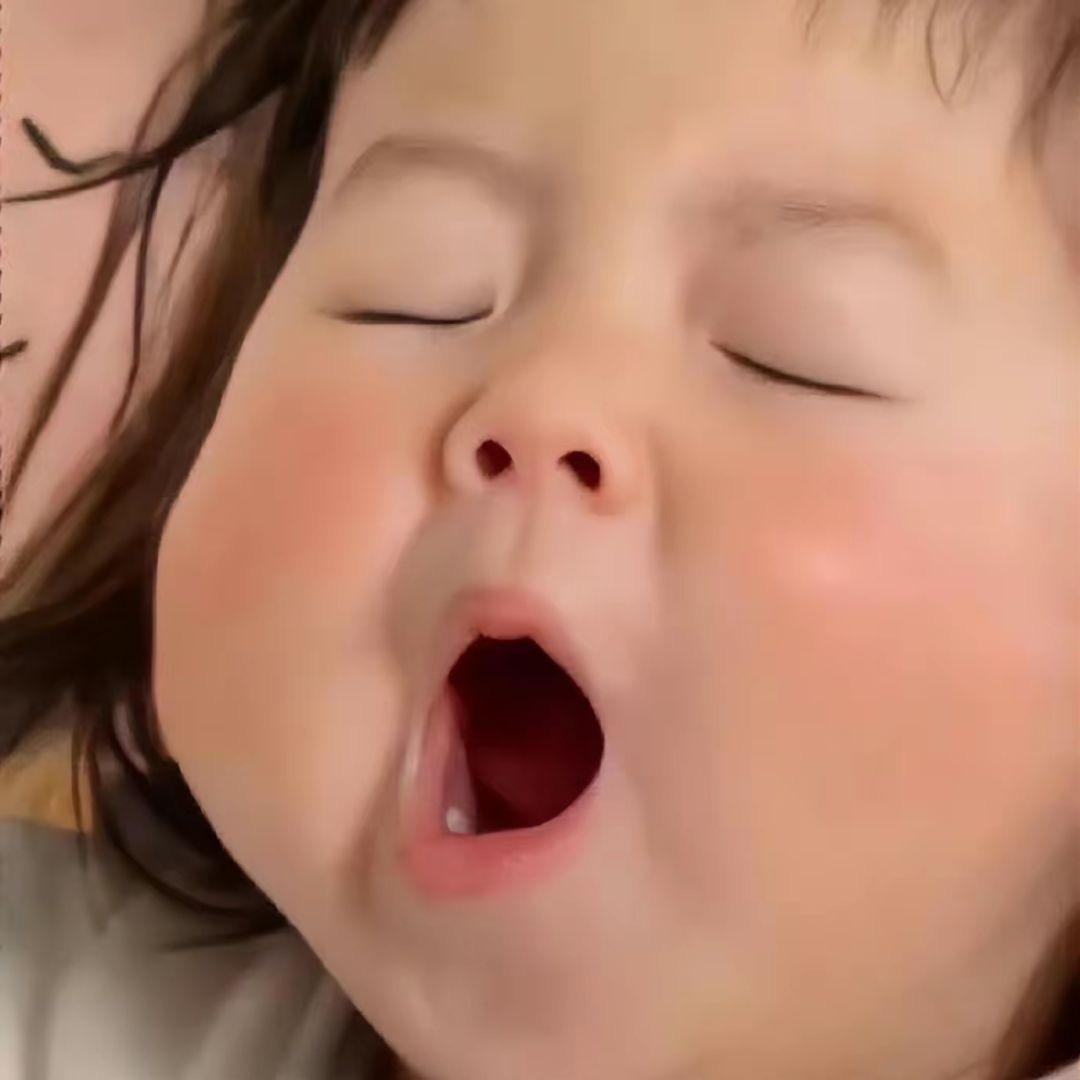 小鹿