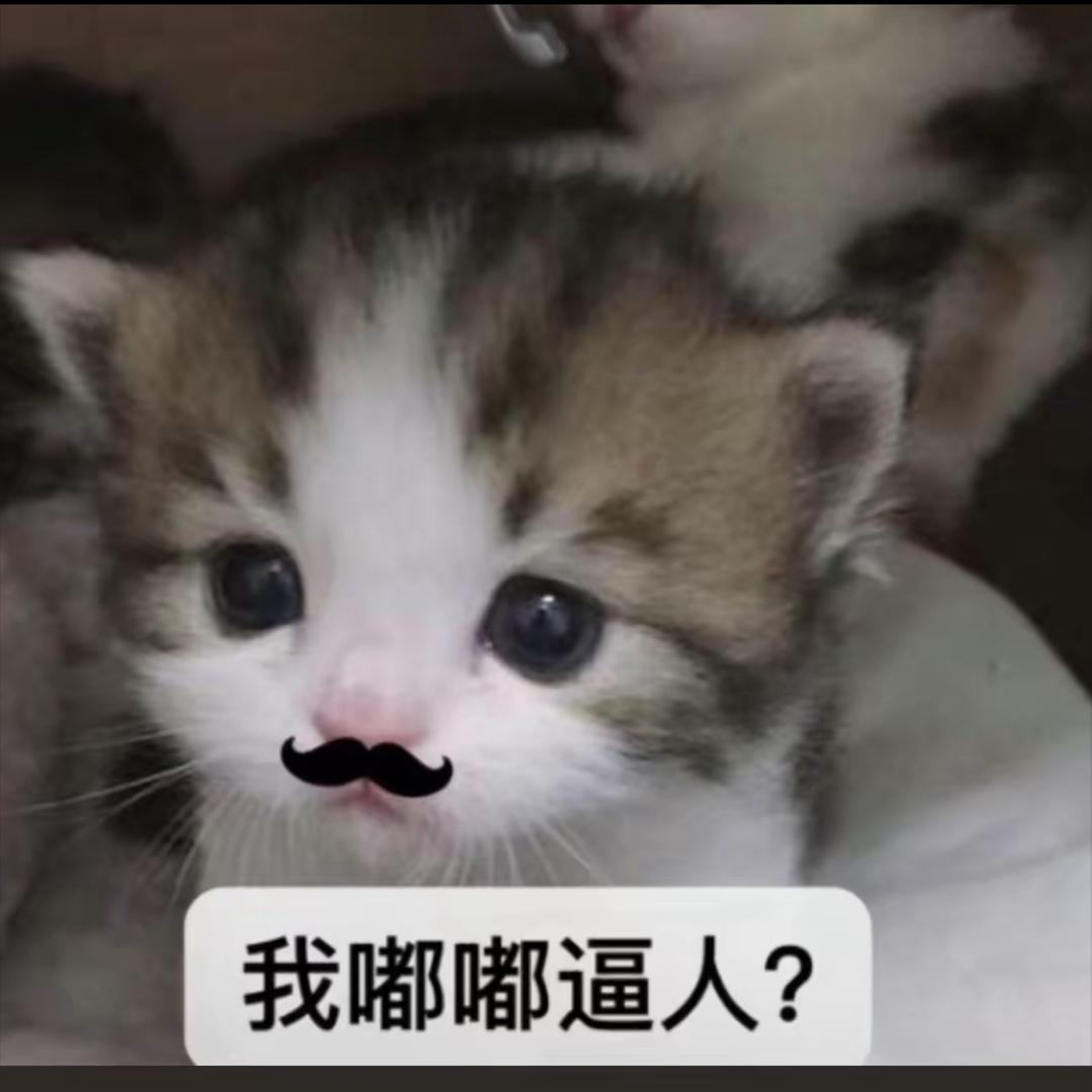 骂我的都是日本人