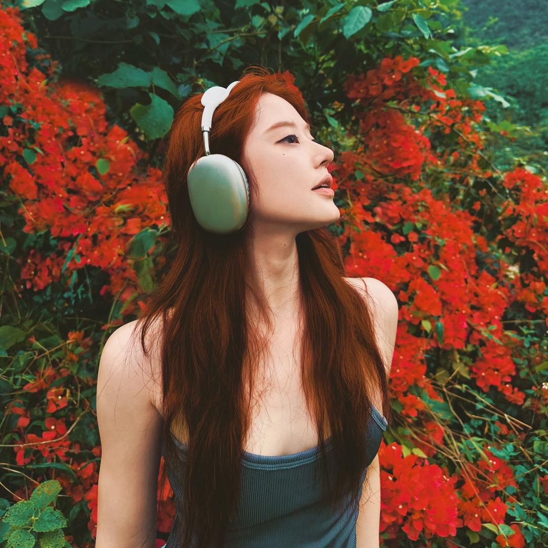 沁姨