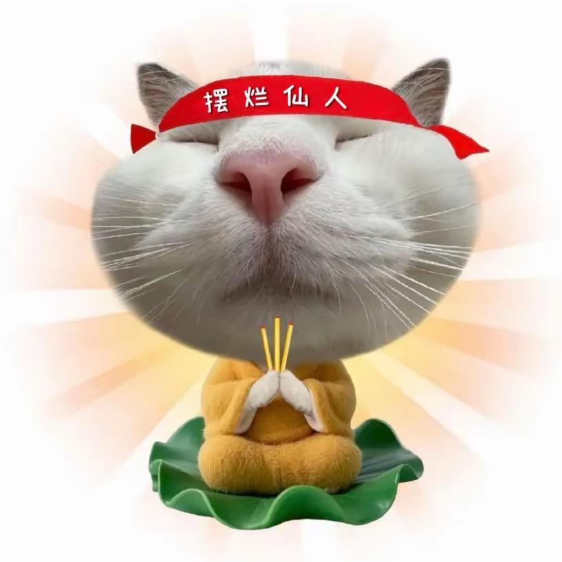 露营的老登