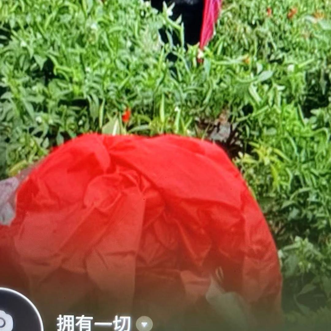 拥有一切
