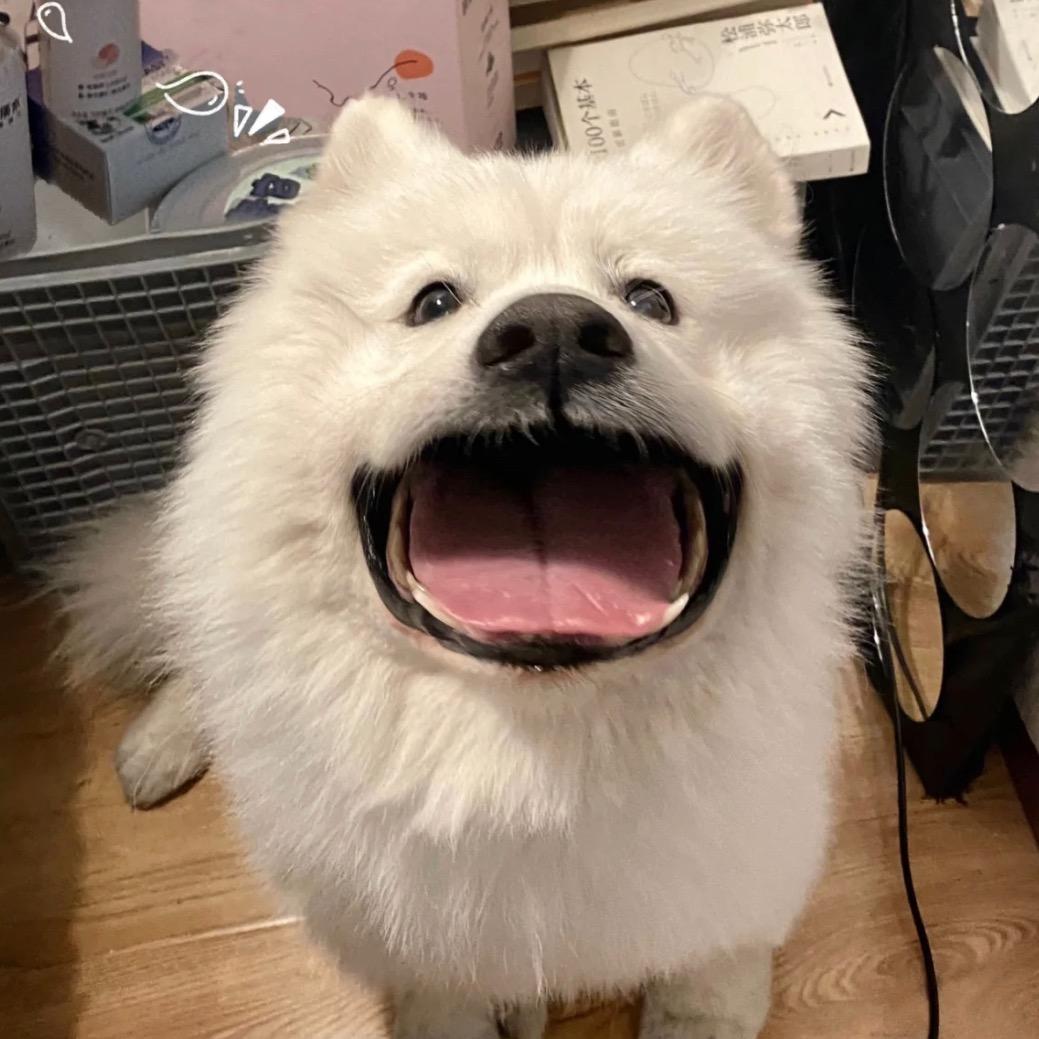 不吃猪脚饭