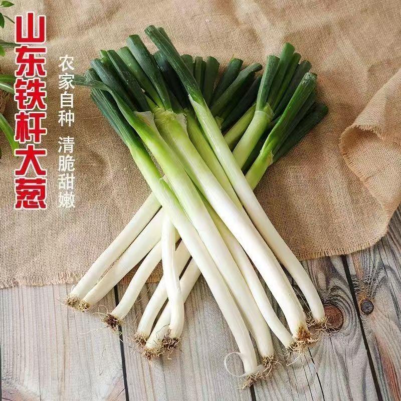 三个小老头1