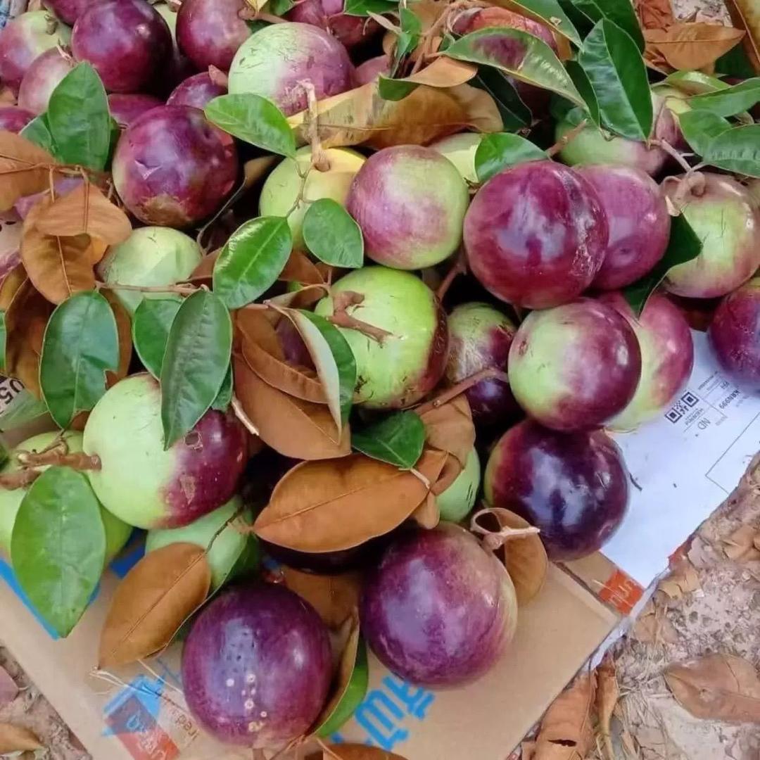 铭庆臻选阁