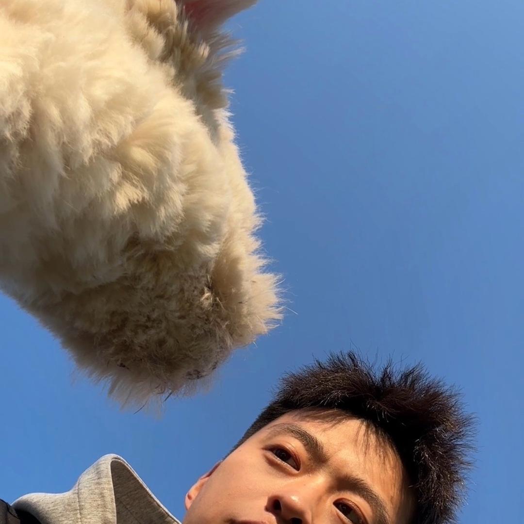 小豪_