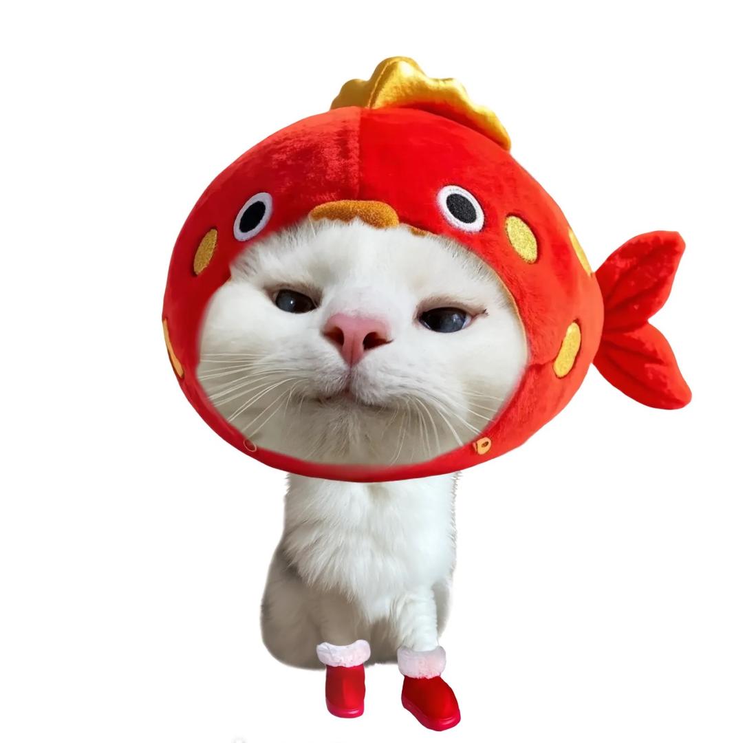 炑羽