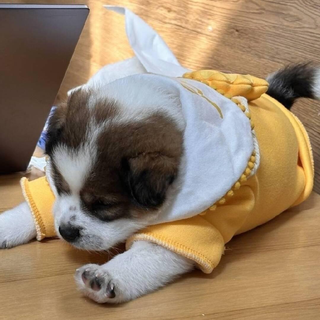 晚安❤️