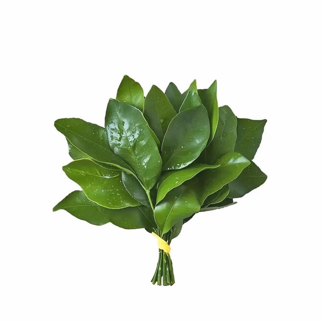 皮蛋粥🥣