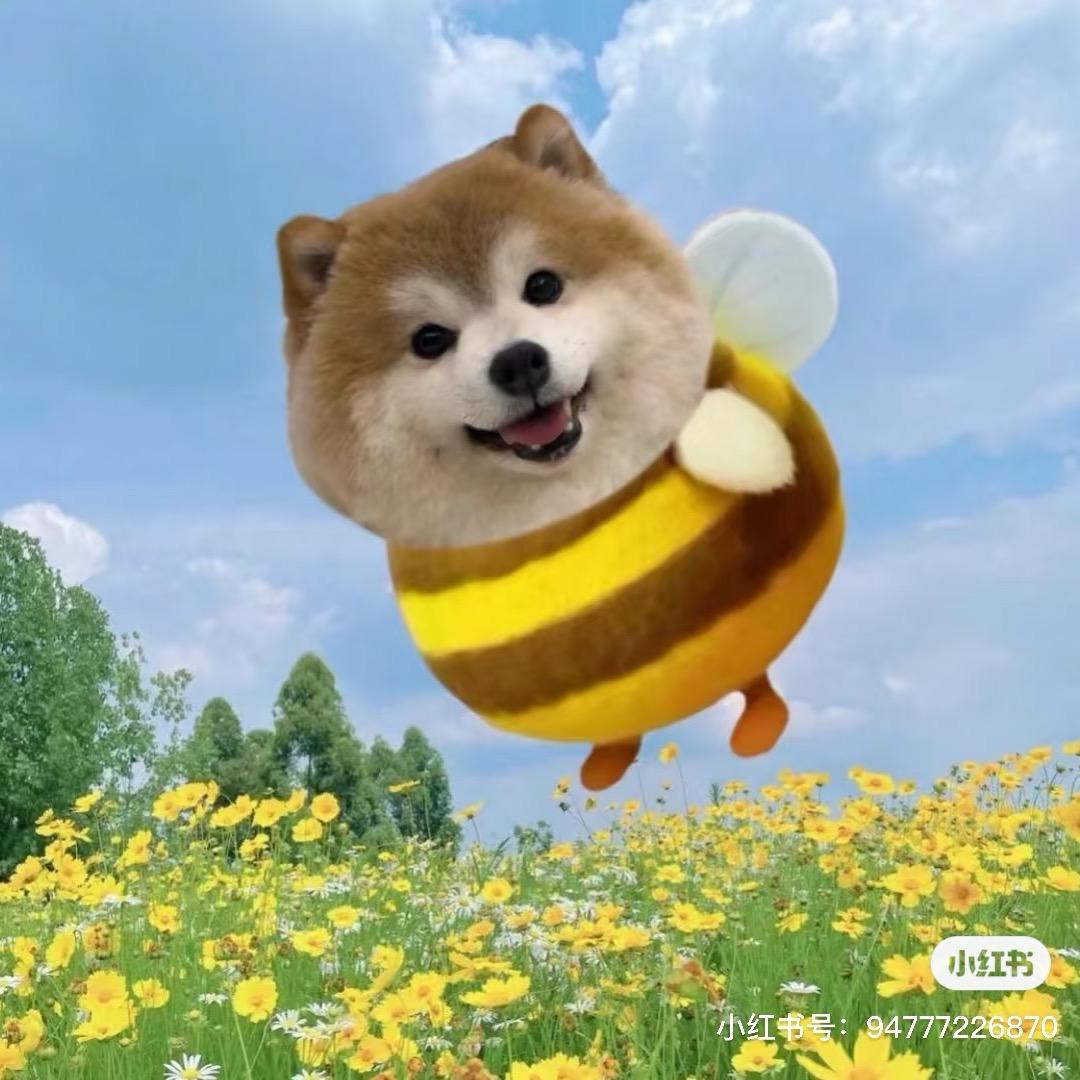 我有蟹皇堡秘方