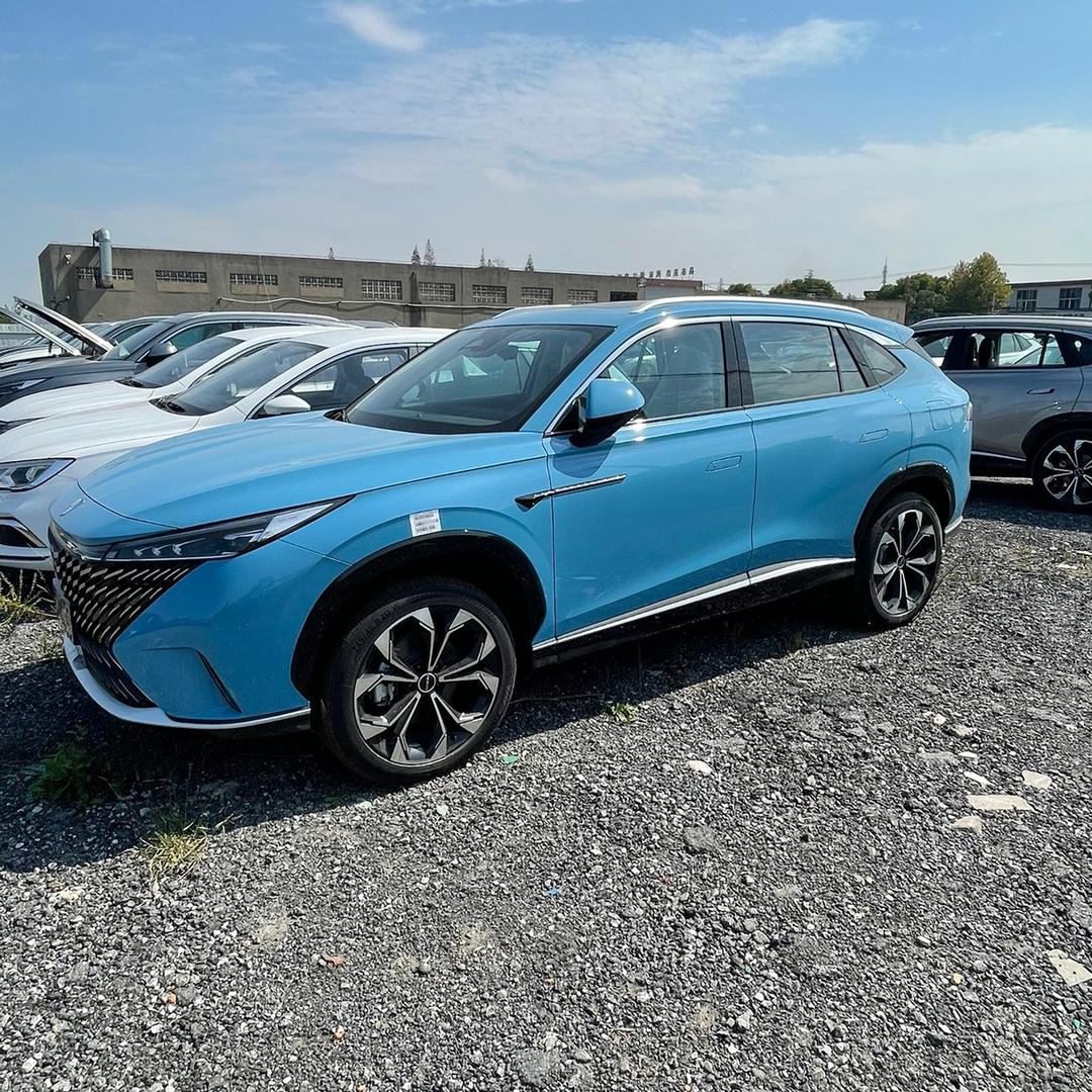 梧桐树下的回忆