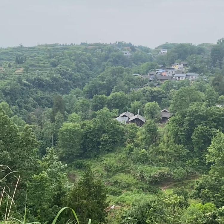 沉默