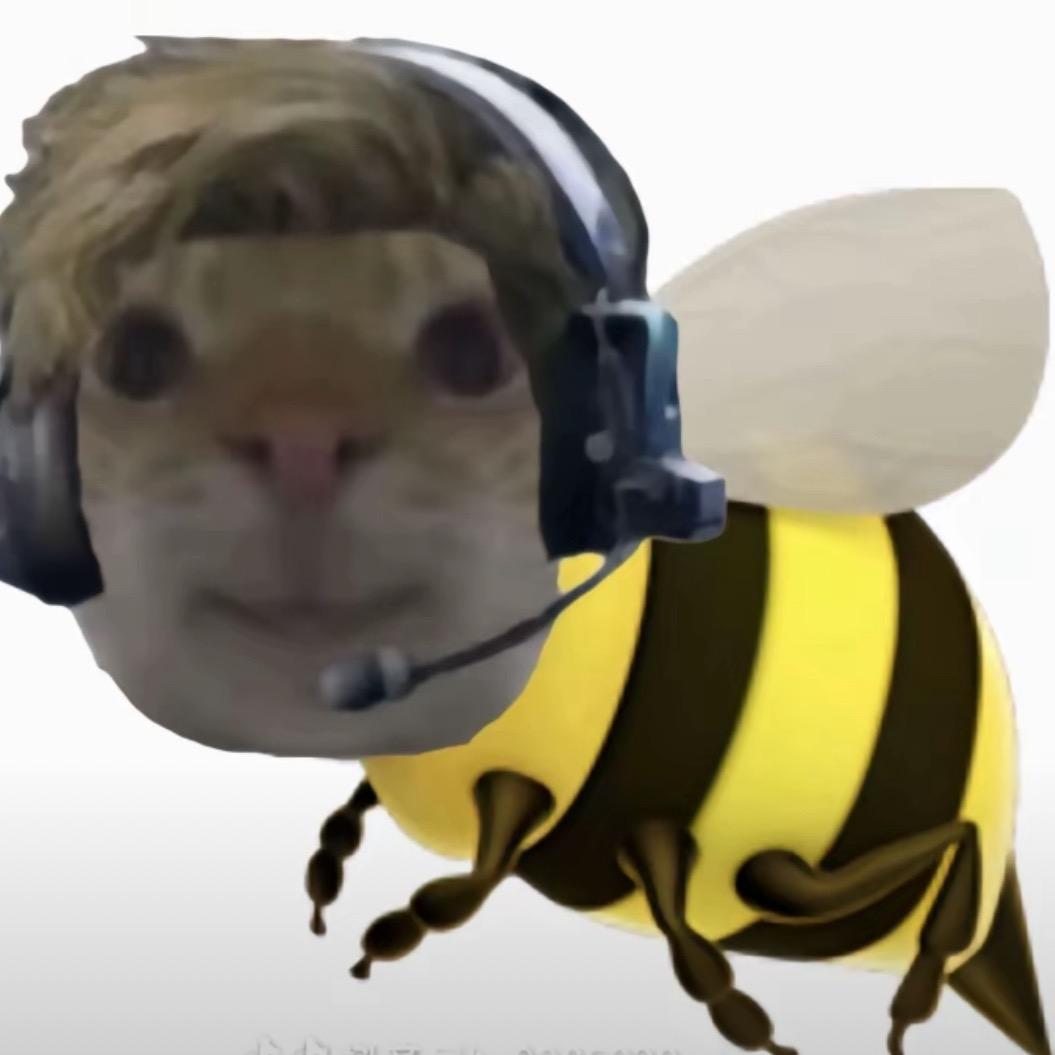 1C