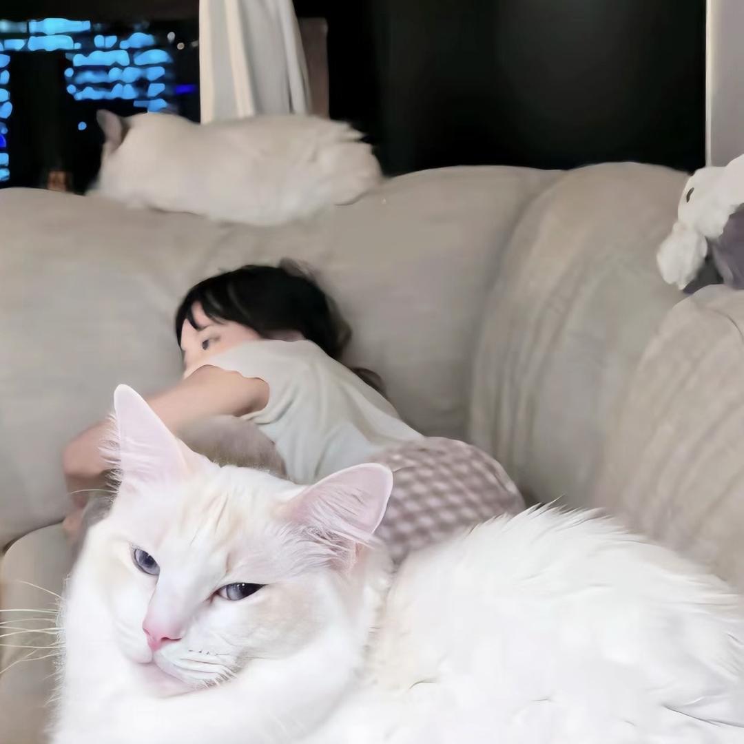 今天也要开心啊