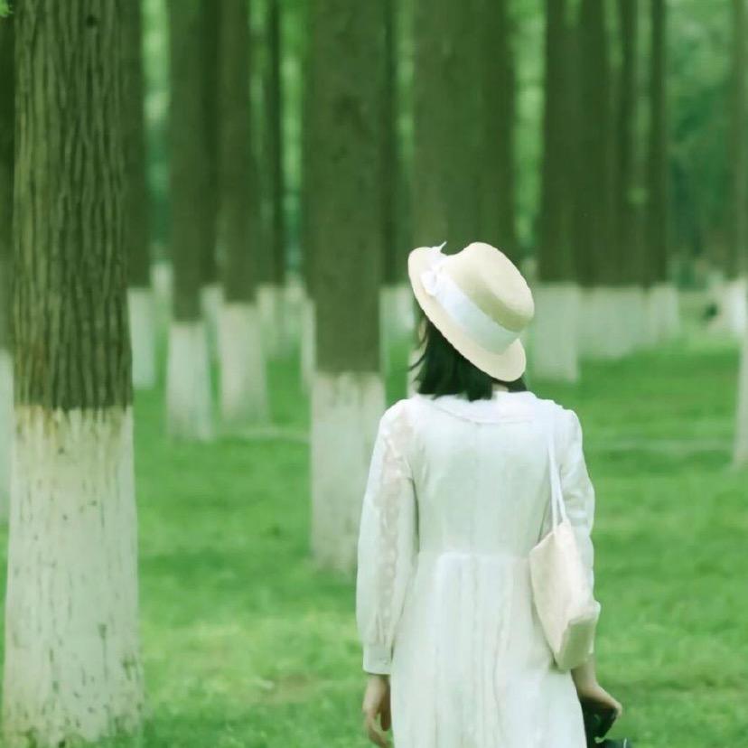 🍭路过的风景🌴