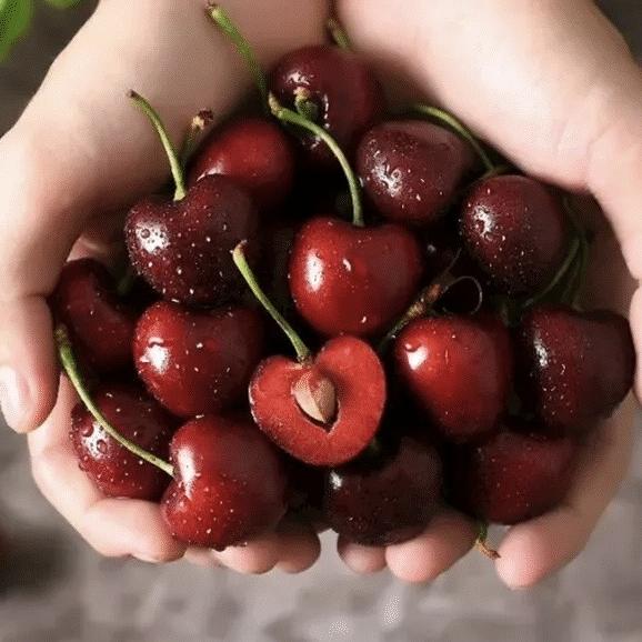 车厘子义浩水果批发