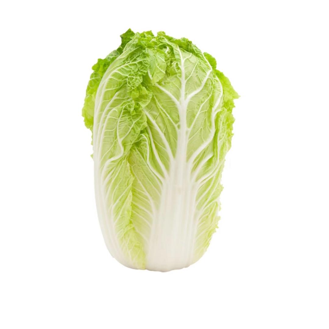 一颗白菜