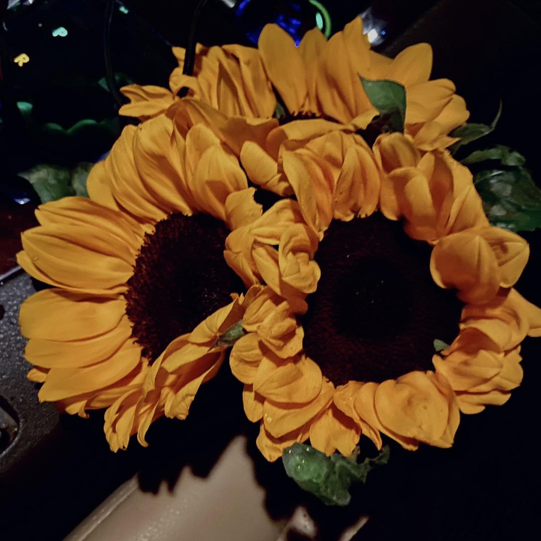 我是你的阿C💛