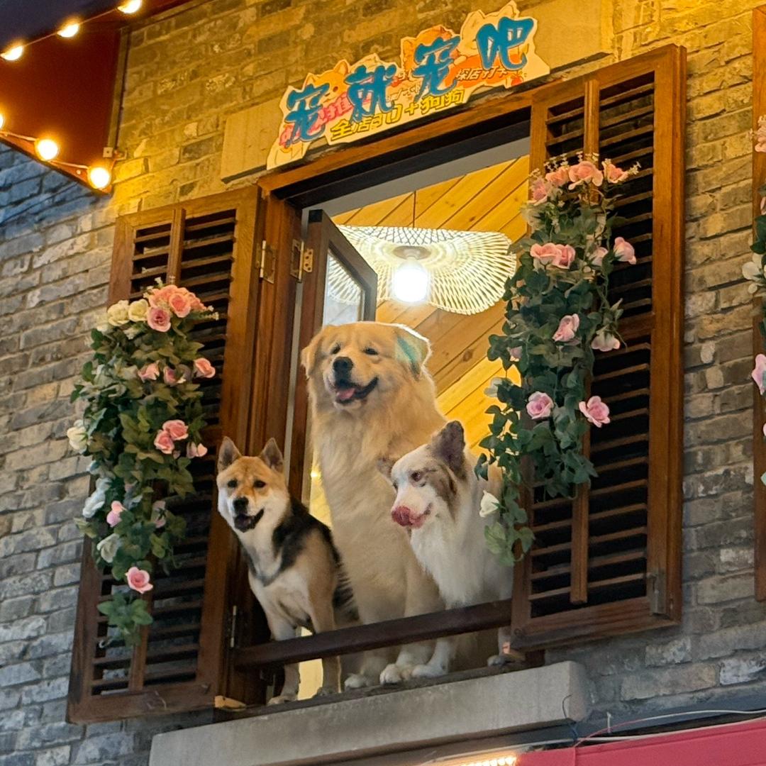 小念