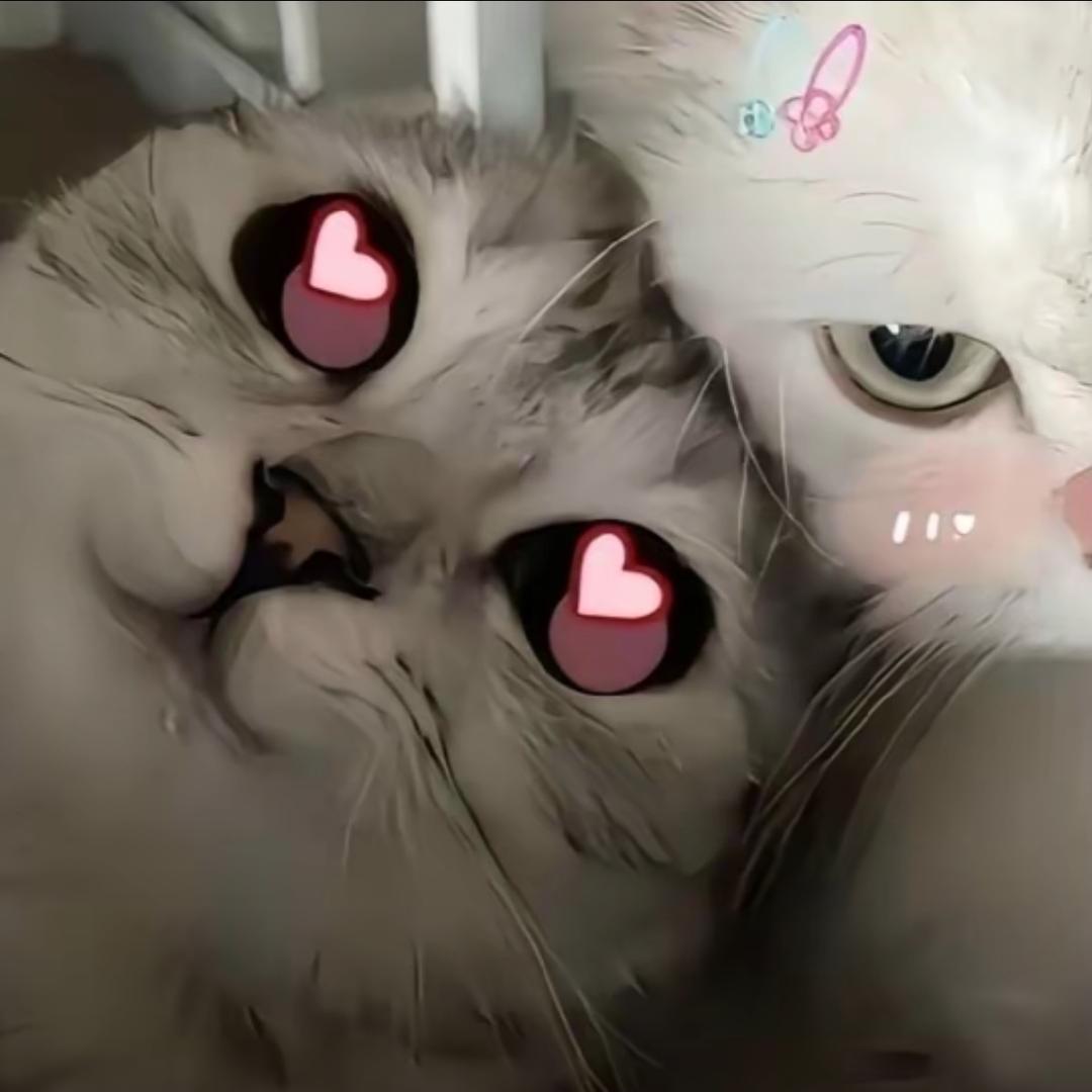 我总爱睡觉