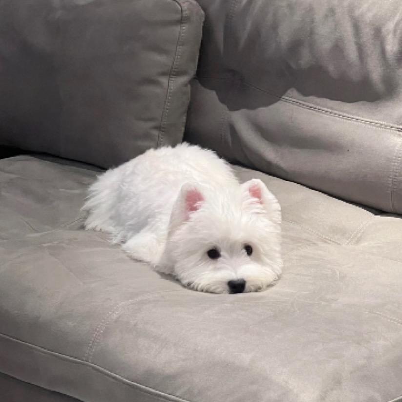 端木带我去了美特斯邦威