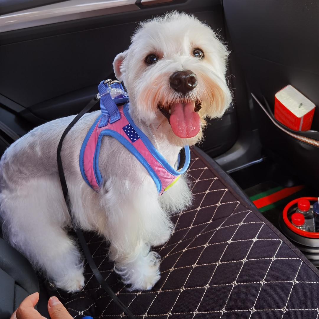 熊多多呛口小辣椒