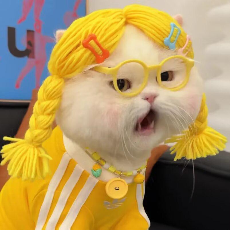 叶惠美