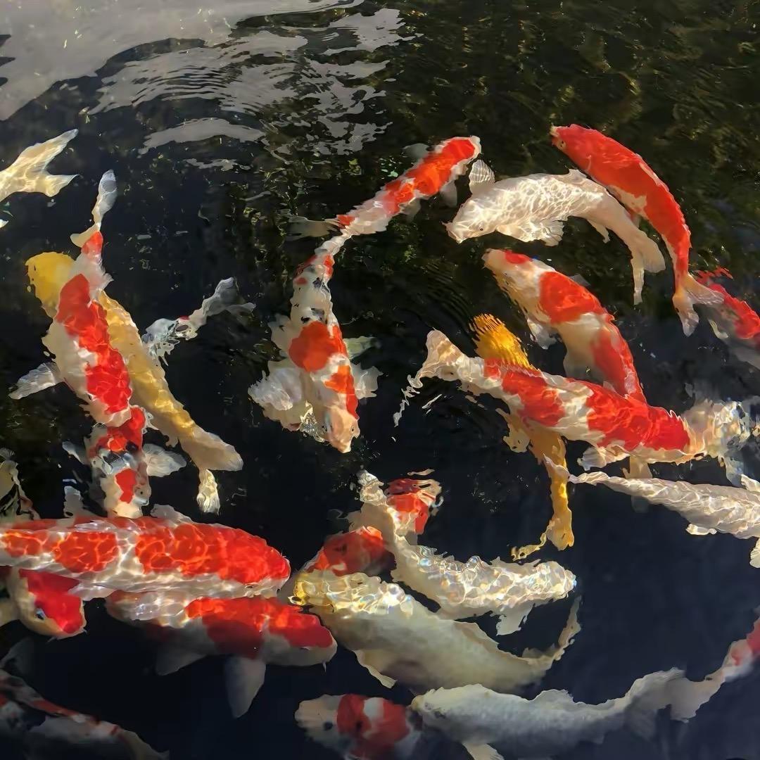 读过几年书