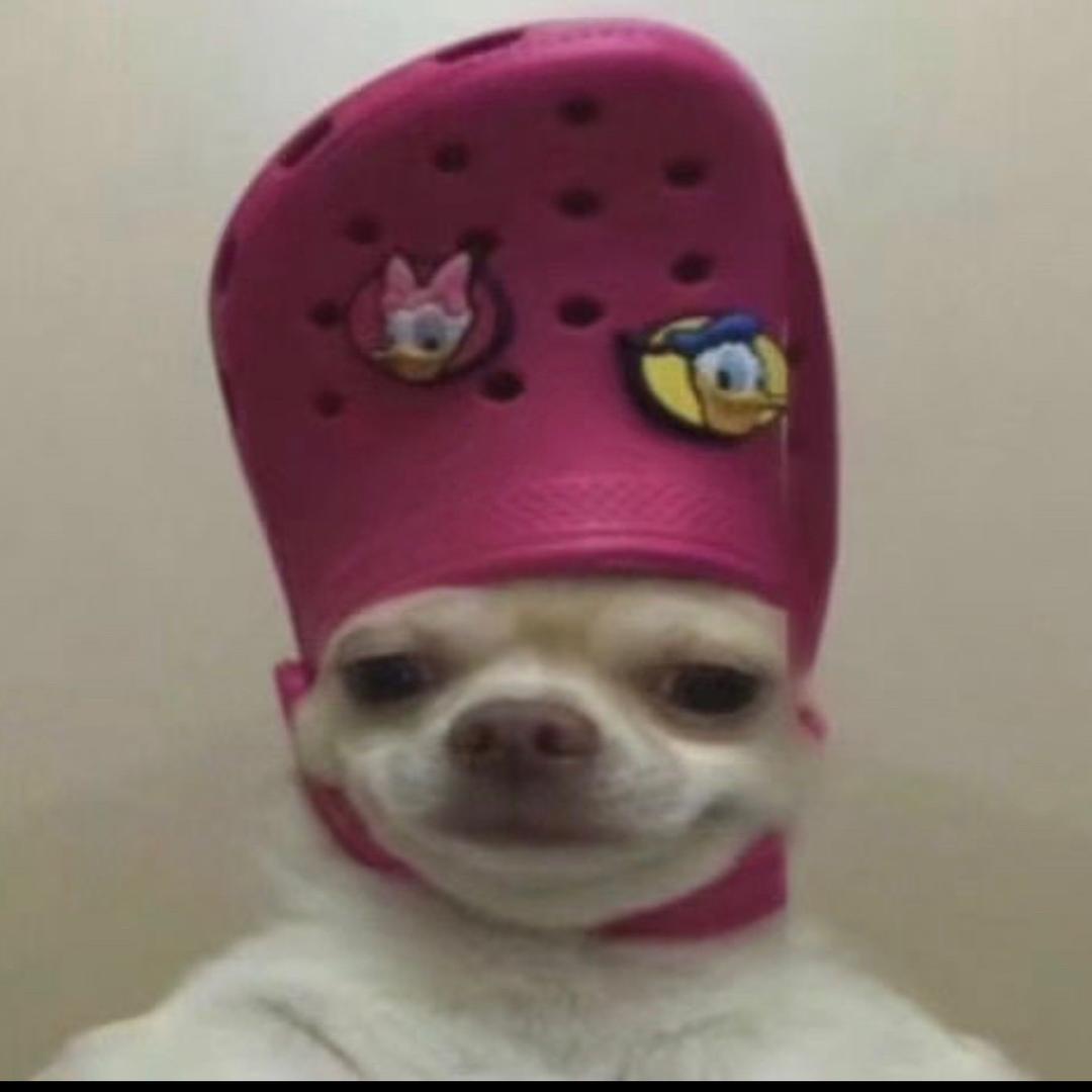 英国皇家卫兵💂鞋拔子小脸狗