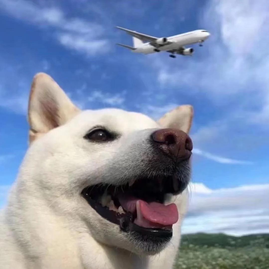 唯樂可图