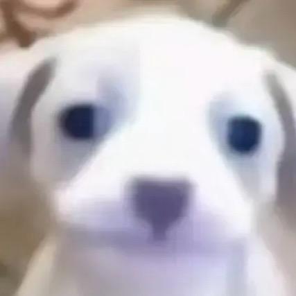 呃呜