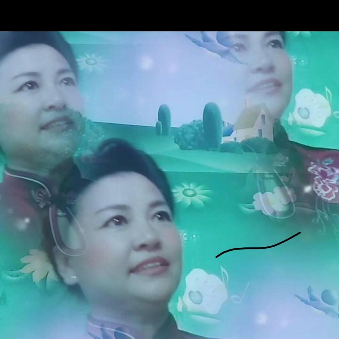 龙凤呈祥⭐️