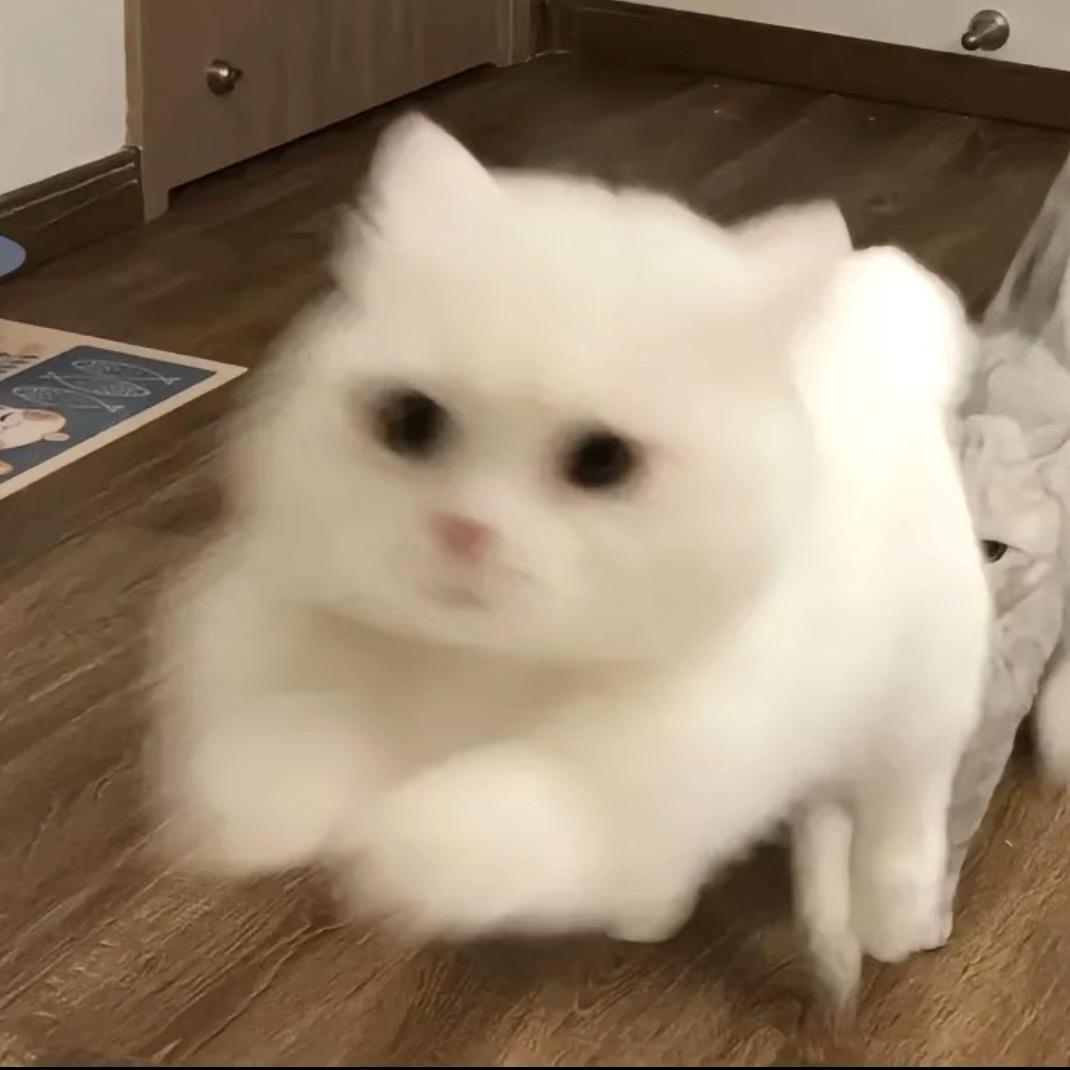 *𝒑𝒊𝒘𝒓𝒊𝒒.🐽