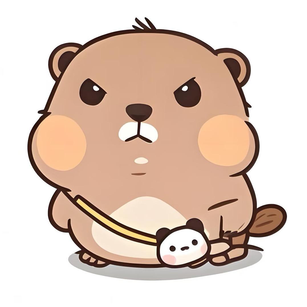 胖小猫