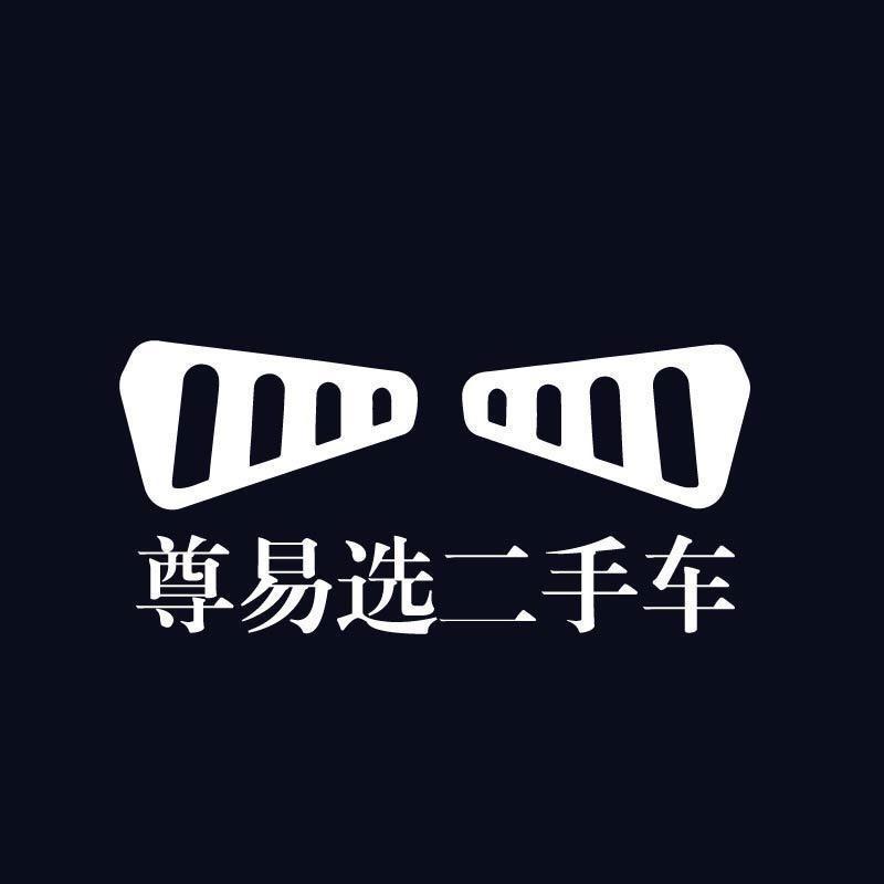 尊易选—老郑（新能源电车）