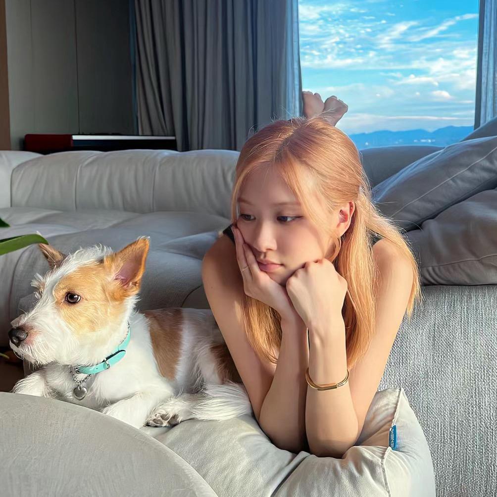 佳-